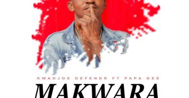 Kwakoe Defender - Kwara ft. Papa Pee
