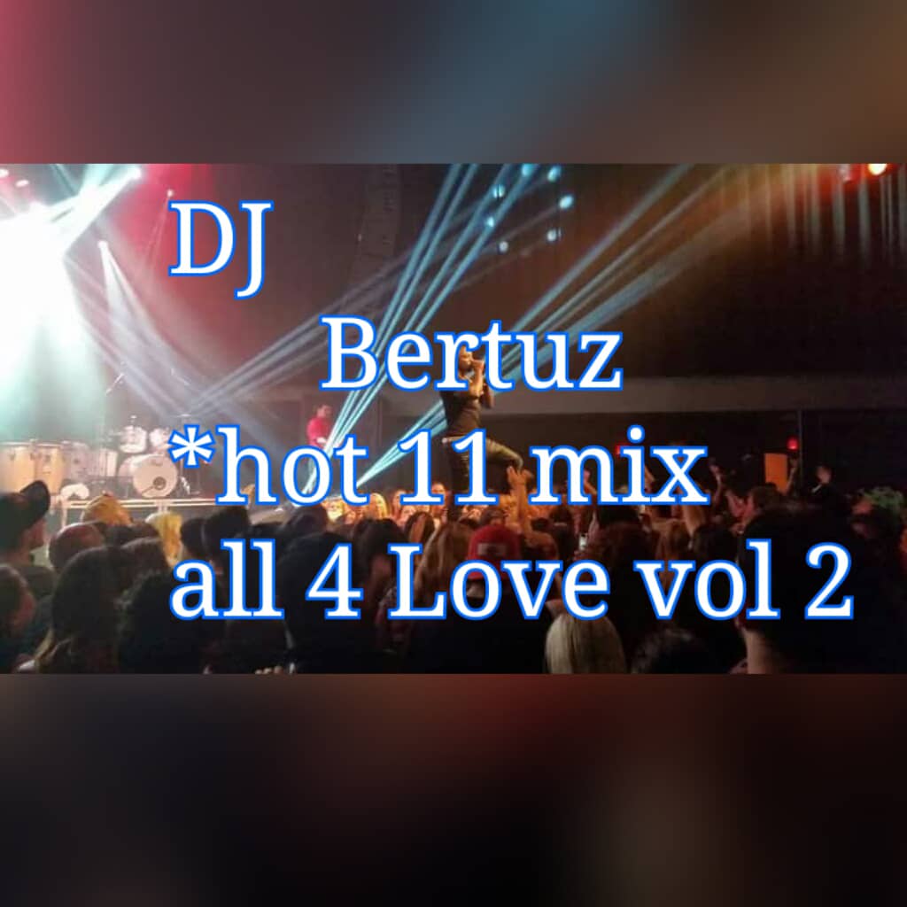 DJ BERTUZ