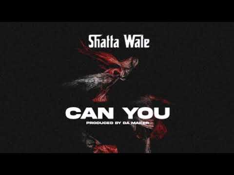 Shatta Wale - Can You