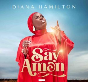 Diana Hamilton - Say Amen 