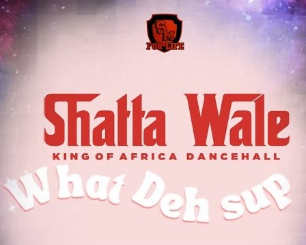 Shatta Wale - What Dey Sup