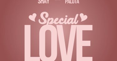 Wendy Shay - Special Love ft. King Paluta