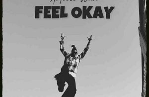 Article Wan - Feel Okay