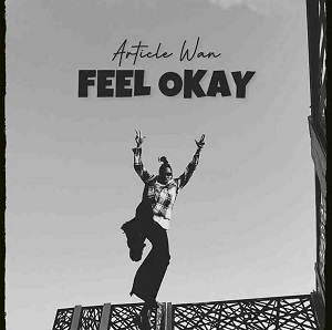 Article Wan - Feel Okay