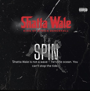 Shatta Wale – Spin