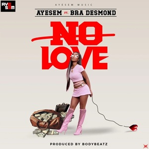 Ayesem - No Love Ft. Bra Desmond cover art