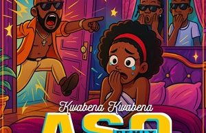 Kwabena Kwabena - Aso (Remix) Ft. Stonebwoy & Kinaata cover art